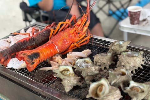 ＜ブランクのある方(半年以上潜っていない方)向け＞【静岡・熱海・ファンダイビング】Cカード取得者向け・リフレッシュコース