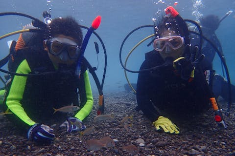 【山口・長門・体験ダイビング】初めてでも安心！ 北長門海岸国定公園内にある美しい島「青海島」で 体験ダイビング＜2時間コース＞