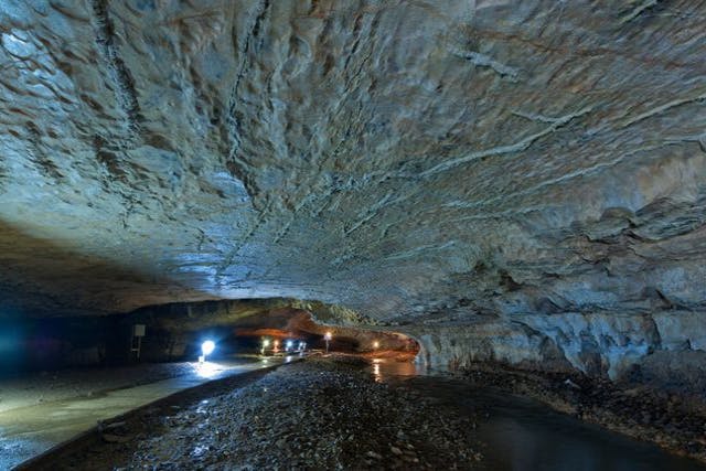 【山口・美祢・洞窟】自然にできたとは思えない、芸術作品のような天井や壁の数々！景清洞散策プラン