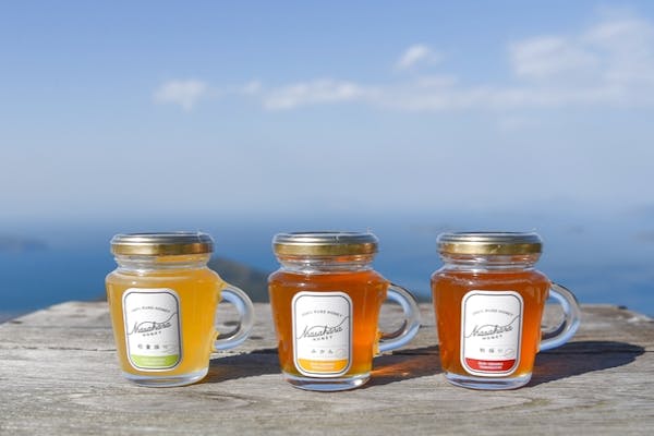 山口・周防大島・はちみつ採取体験＋本格デザート】ご自身で採った