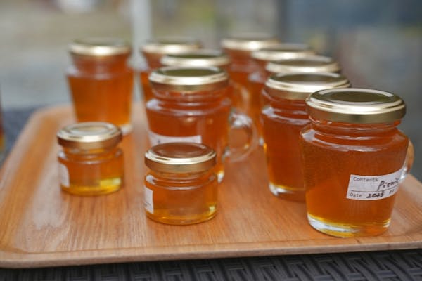 山口・周防大島・はちみつ採取体験＋本格デザート】ご自身で採った