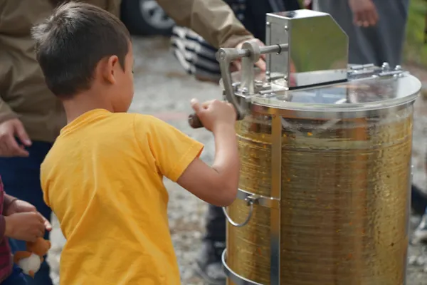山口・周防大島・はちみつ採取体験＋本格デザート】ご自身で採った