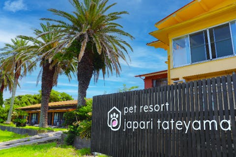 【千葉・南房総・館山・SUP】 富士山が見える透明感抜群の海でSUP体験。 幅広い年代の方が体験できます♪