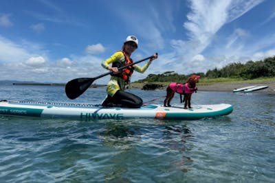 千葉・南房総・館山・ドッグサップ】 富士山が見える海でわんちゃんと