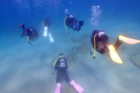 【和歌山・白浜・ダイビング】＜2日間で取得！初心者歓迎＞より充実したダイビングライフを送ろう！PADIゴールド免許アドバンスドオープンウォーター（AOW）