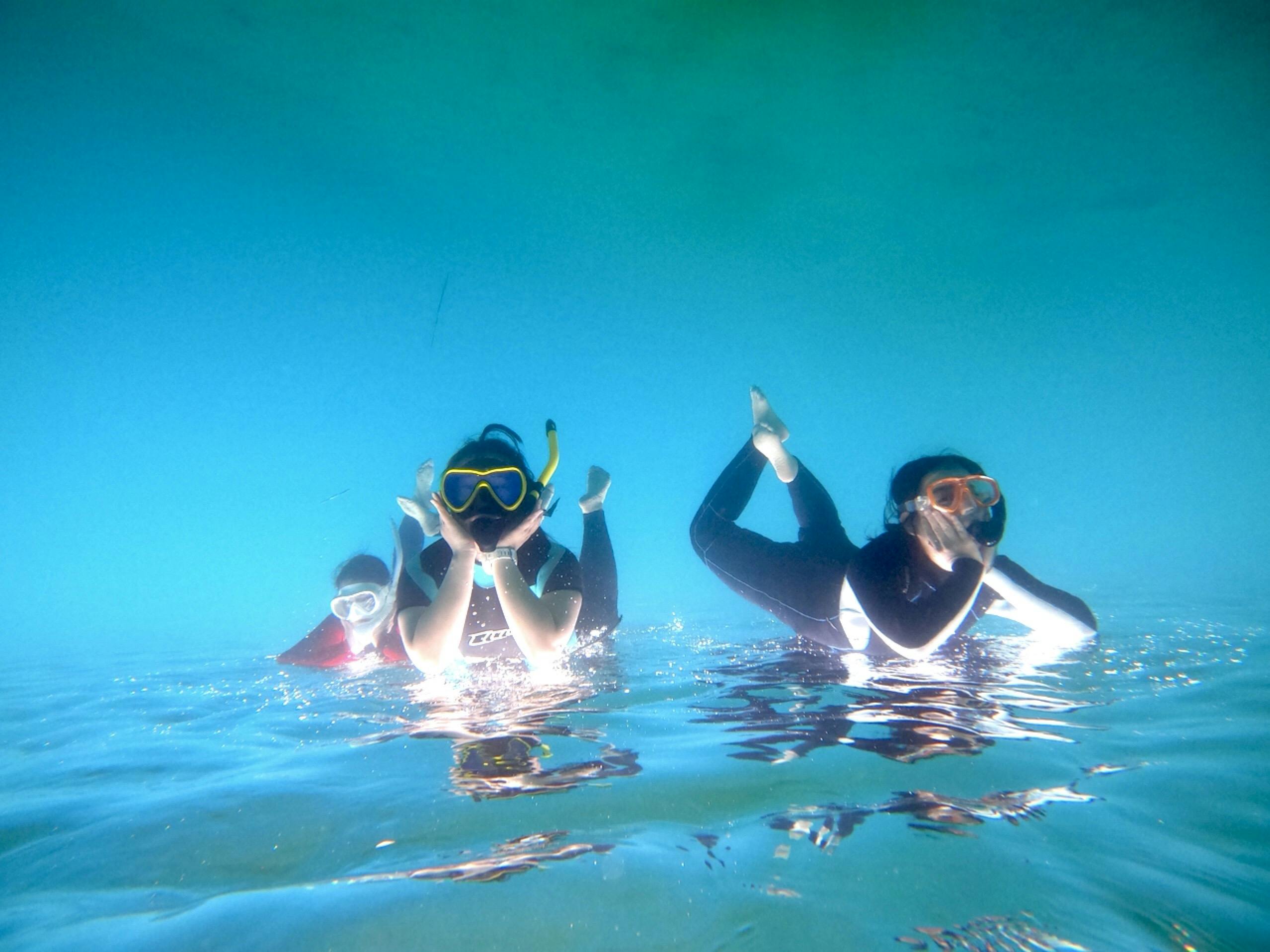 Diving Shop likkle more（ダイビングショップ リコモ）