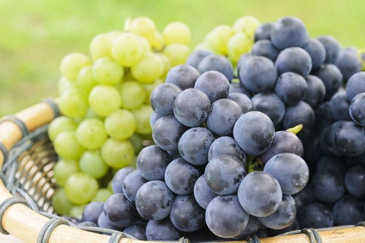 ナカノフルーツ