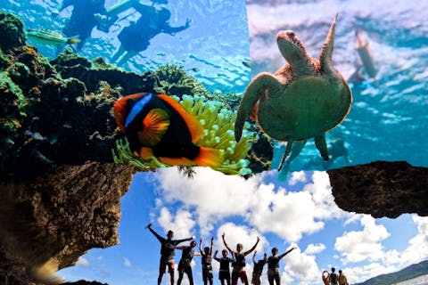 【沖縄・石垣島・シュノーケリング】青の洞窟探検＆ウミガメに出会えるシュノーケリングツアー！子供や初心者歓迎（機材・写真データ無料）