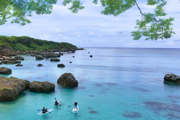 琉海さま専用 沖縄県酒造協同組合 / 海乃邦KOHAKU 12年 43度 720ml