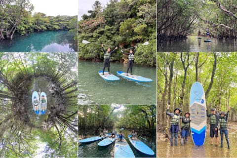 【沖縄・石垣島・SUP】＜半日＞マングローブSUPで癒しの時間を！のんびり非日常体験！女性ガイドが担当/１組様貸切/送迎・写真込み/手ぶら参加OK