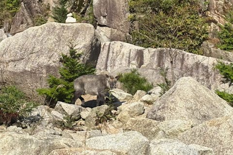 【三重・菰野・登山】Hello登山！御在所岳登山ツアー！