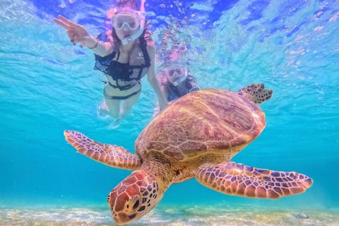 【宮古島】《1組貸切ウミガメシュノーケル！》ウェットスーツ無料！ファミリーおすすめ！GoPro無料貸出中！前日・当日予約OK！