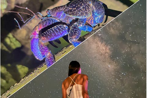 【宮古島】《星空＆ジャングルナイトツアー！》当店のみ一眼レフ星空撮影付き！お子様連れ歓迎！手ぶら参加OK！