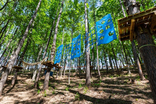 みきTアスレチックツリージム みきTアスレチックツリージム Amazon.com: Trelines Ninja