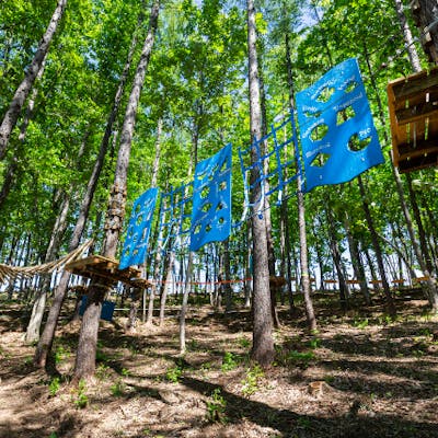 みきTアスレチックツリージム みきTアスレチックツリージム みきTアスレチックツリージム みきTアスレチックツリージム