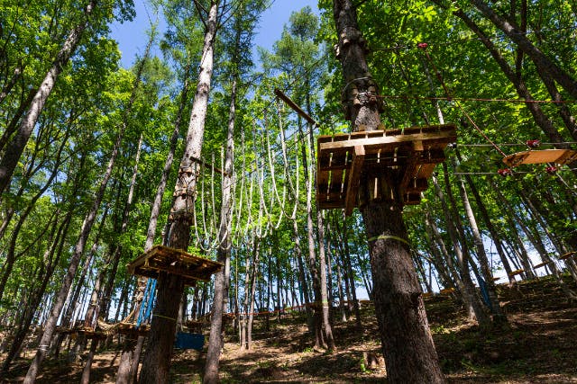 みきTアスレチックツリージム 北海道・札幌・アスレチック】ツリートレッキングコース