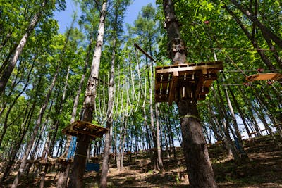 北海道・札幌・アスレチック】ツリートレッキングコース｜アソビュー！