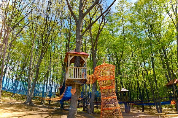 yume satoアスレチックネット 巨大ネットの森 SUMIKA｜モビリティリゾートもてぎ