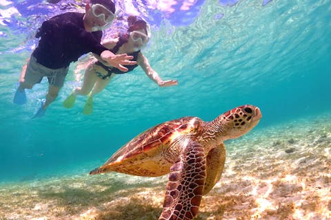 【沖縄・宮古島・シュノーケリング】＜貸切限定プラン＞ウミガメ高遭遇率！全データ無料プレゼントで最高な思い出間違いなし！！満足できなかったら全額返金保証！