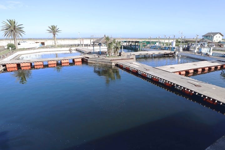 九十九里海釣りセンター