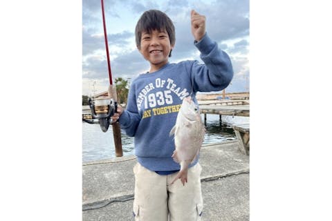 【千葉・九十九里・釣り堀・男性用】釣り初心者のデビューにおすすめ！お子様もOK・4時間釣りコース、初心者応援プランで人気のマダイを狙ってみよう！釣竿・エサ1つセット