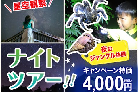 【子どもと一緒に宝探し！】遭遇率100％のヤシガニ発見ナイトツアー｜星空観察＆撮影付き【宮古島】