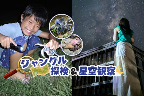 【子どもと一緒に宝探し！】遭遇率100％のヤシガニ発見ナイトツアー｜星空観察＆撮影付き【宮古島】