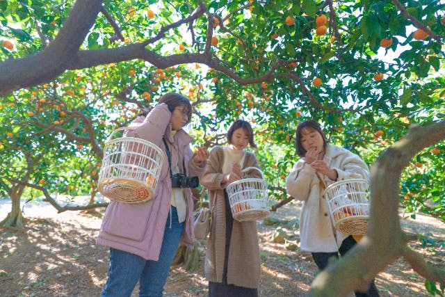 【福岡・岡垣・フルーツ狩り×サイクリング】もぎたて！とれたて！フルーツライド！電動自転車で楽々ライドツアーを満喫