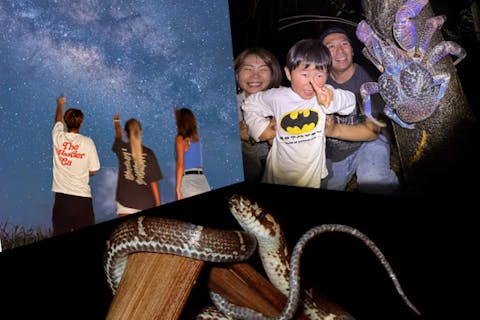 【宮古島｜送迎可能！当日18:00まで予約OK！】ヤシガニ遭遇率ほぼ100%！星空撮影&ジャングルナイトツアー！