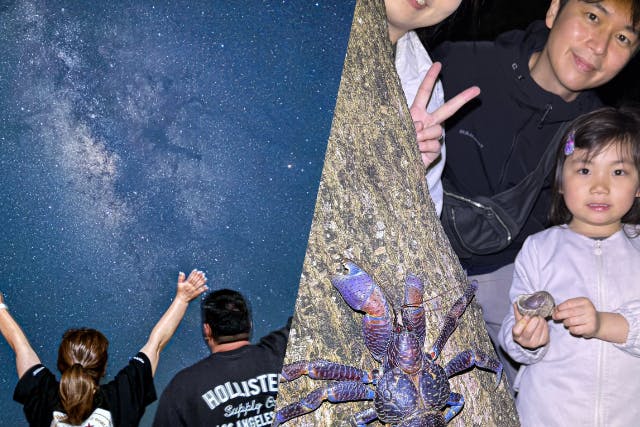 【沖縄・宮古島】ヤシガニ＆星空撮影ナイトツアー！】当日予約OK！ヤシガニ超高遭遇率！夜しか現れない幻の野生動物を探すワクワクジャングルツアー！