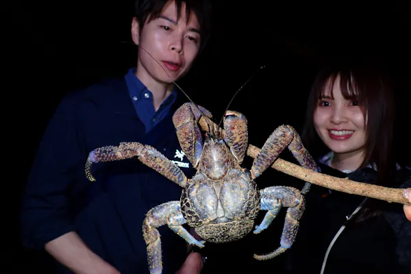 宮古島｜送迎可能！当日18:00まで予約OK！】ヤシガニ遭遇率ほぼ100