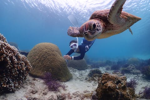 【沖縄・宮古島】1組貸切のプライベート＜ビーチスキンダイビングツアー＞写真・動画データプレゼント