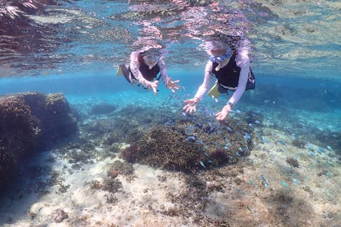 【沖縄・宮古島】1組貸切のプライベート＜ シュノーケリングツアー＞ツアー写真・動画データプレゼント