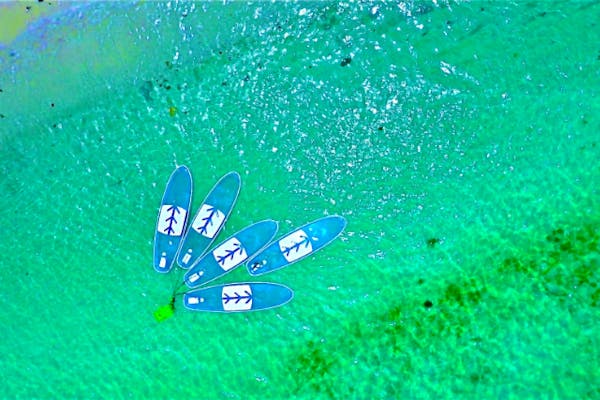 沖縄・ジャングリア・美ら海水族館・古宇利島近く】アソビュー限定25