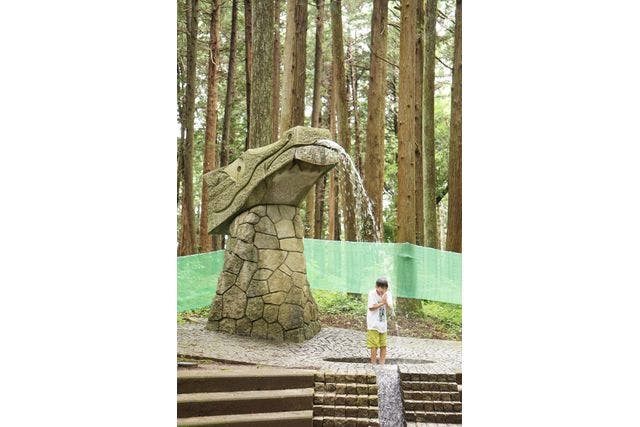 フォレストアドベンチャー・龍ケ崎｜ネット予約ならアソビュー！