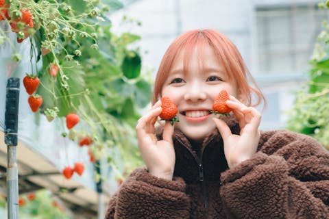 【兵庫・三田・いちご狩り】40分食べ放題！こだわりの紅ほっぺ♪