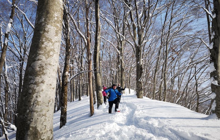 白神山地ガイドGURI