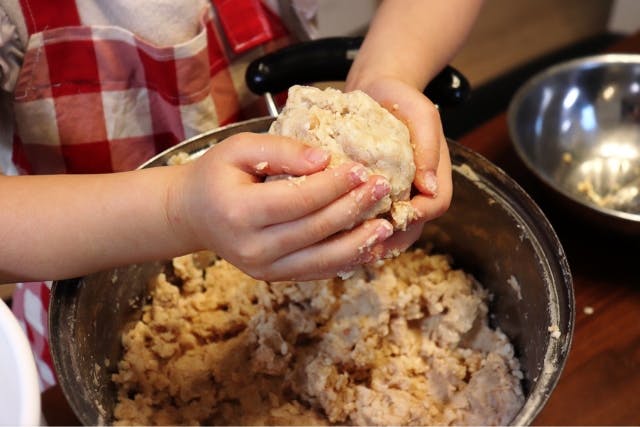 白神山地森のえき（（一社）白神山地ふじさと観光協会）