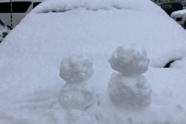 【秋田・かまくらの町・横手】原っぱ貸切！雪遊び体験