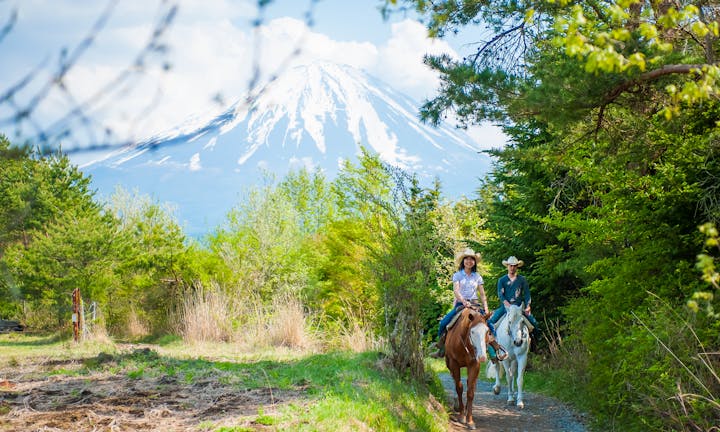 パディーフィールド