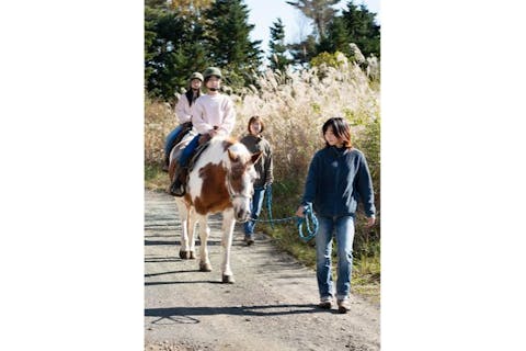 【山梨・河口湖・乗馬】富士山のふもとで森林乗馬！2名様限定でプライベートに楽しめる引馬外乗（トレッキング30分）