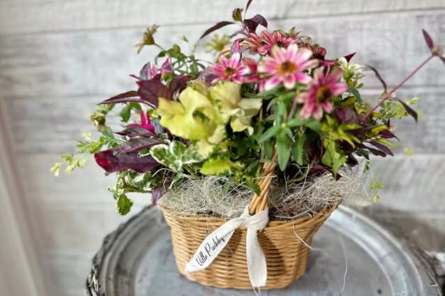 秋のギャザリング寄せ植え 秋の #寄せ植え #カレンダー #プランツギャザリング