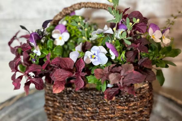 秋田市・寄せ植えギャザリング体験レッスン】根っこのついた植物を花束