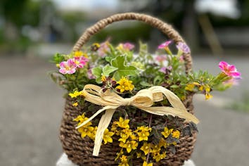 秋のギャザリング寄せ植え 秋田市・寄せ植えギャザリング体験レッスン】根っこのついた植物を花束