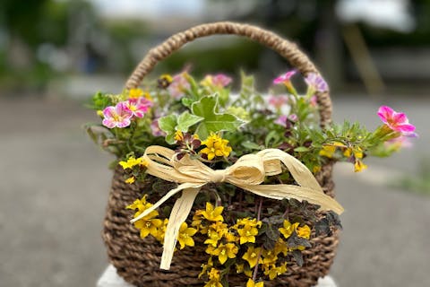 【秋田市・寄せ植えギャザリング体験レッスン】根っこのついた植物を花束のように手の中で束ねて器に植え込むギャザリングの手法を使って小さな寄せ植えを作ります。