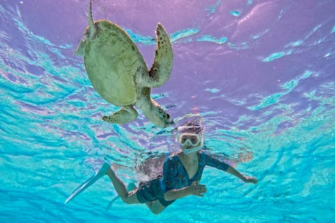 【沖縄・宮古島（伊良部・下地エリア）SUP＆シュノーケル】ボートエントリーで魅力的な海の世界へ！船だからこそ行ける場所へご案内（半日・3歳からOK）