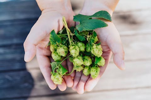 【秋田県・秋田市・醸造所見学】秋田あくらビール醸造所見学＆利きビール体験！