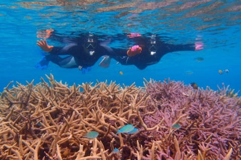 【沖縄・宮古島・シュノーケル】よくばりツアー！陸上ガイド＆シュノーケリングツアーで宮古島を思い切り楽しもう！無料写真撮影・ドローン空撮付き