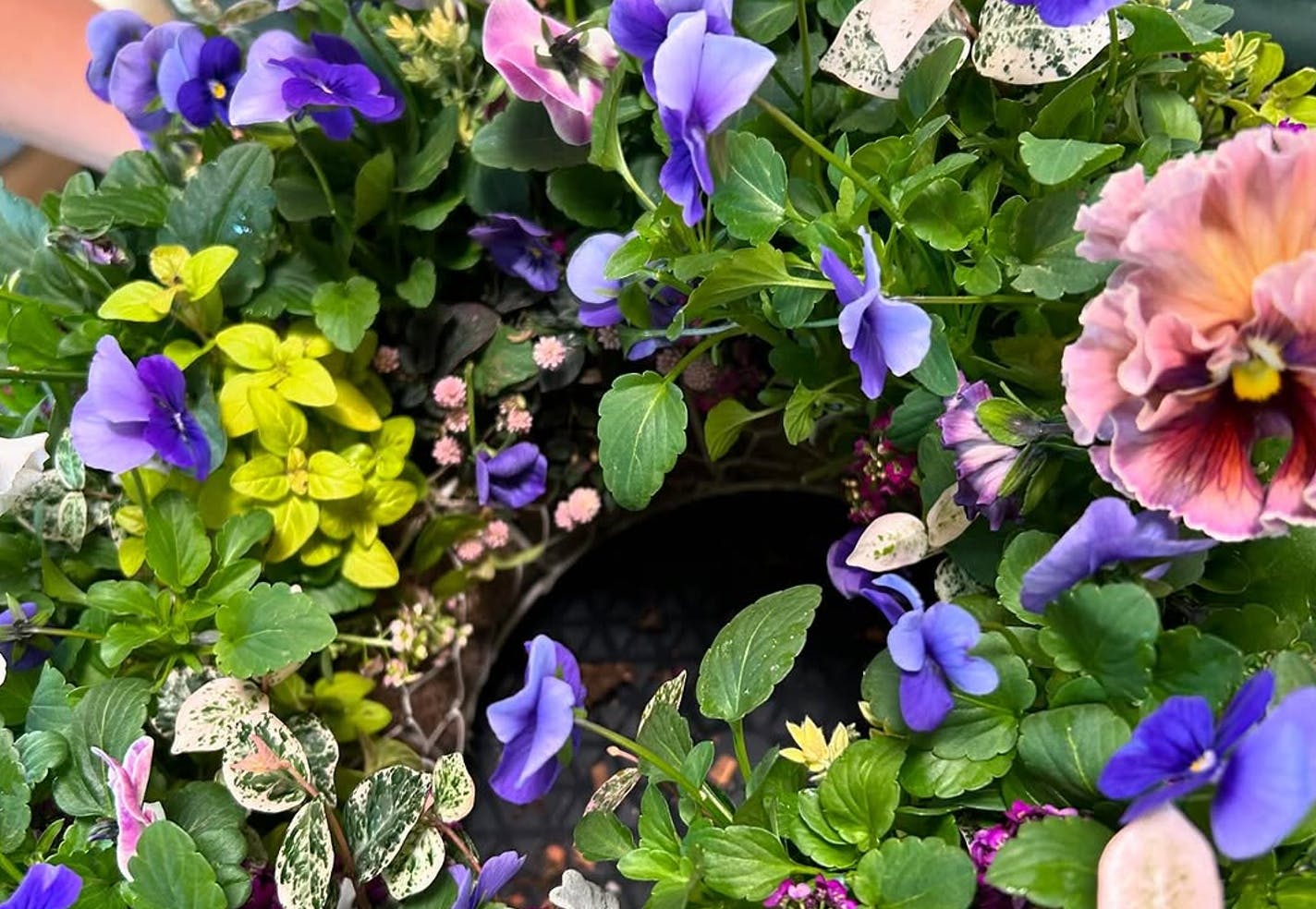 leaf&flower Scent of Gardenia