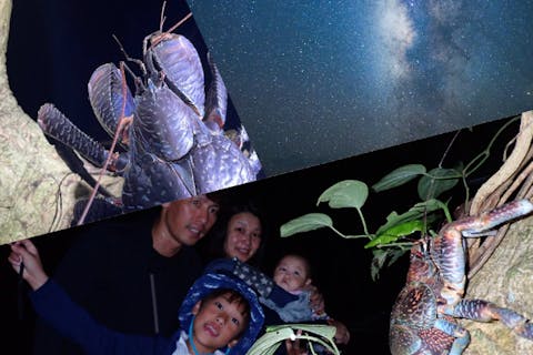 【宮古島・ナイトツアー】《少人数制で安心！》宮古島の夜を冒険！ナイトツアー★子供料金あり！★当日予約OK！★撮影データ無料！